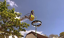 28. Maibaum 2025
