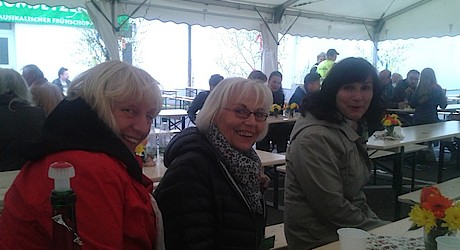 Maibaumsetzen 2016
