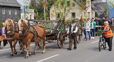 Maibaumsetzen