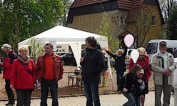 Maibaumsetzen 2015