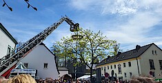 26. Maibaum 2023