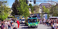 28. Maibaum 2025