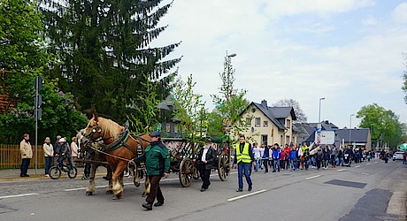 Maibaumsetzen