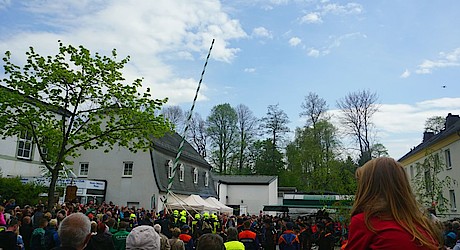 Maibaumsetzen