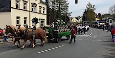 Maibaumsetzen 2016